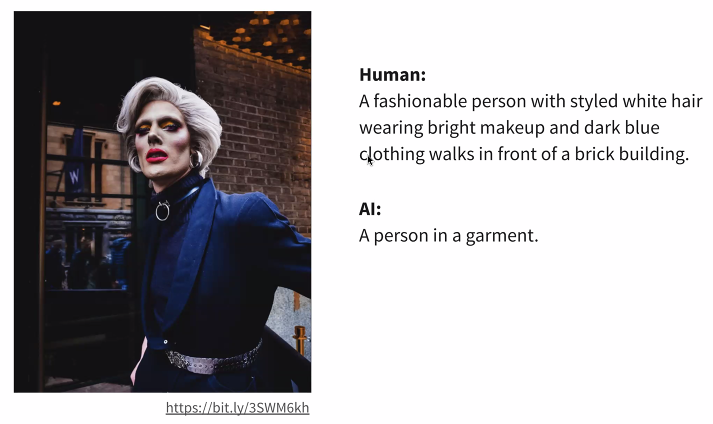 Alt text comparison. Human wrote: "A fashionable person with styled white hair wearing bright makeup and dark blue clothing walks in front of a brick building." AI wrote: "A person in a garment"