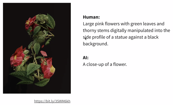 Alt text comparison. Human wrote: "Large pink flowers with green leaves and thorny stems digitally manipulated into the side profile of a statue against a black background." AI wrote: "A close-up of a flower."