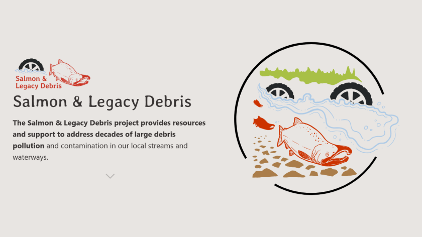 Beige web page featuring bright colorful hand-drawn illustration of salmon and tires in a river 